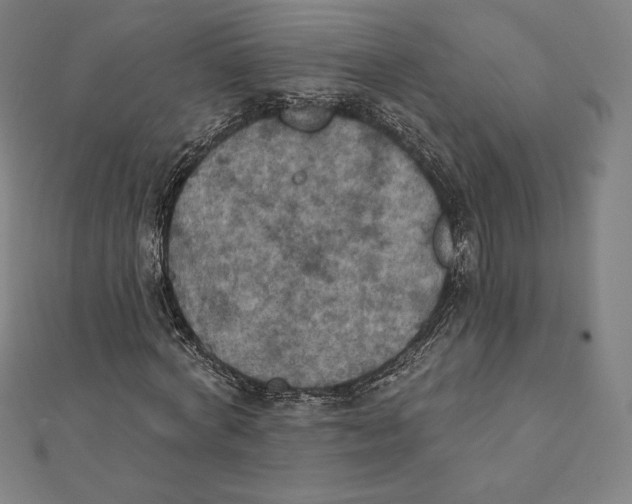 X0000112030772200908311215