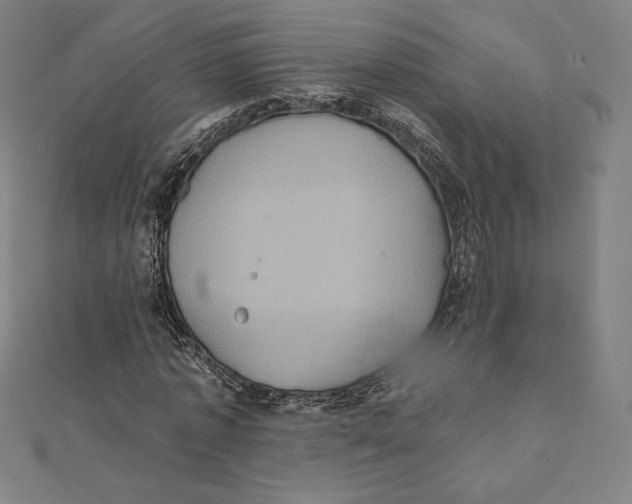 X0000112030773200908311214