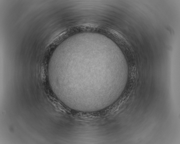 X0000112030774200908311214