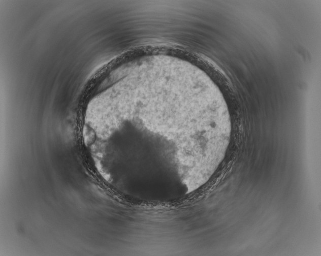 X0000112030775200908311214