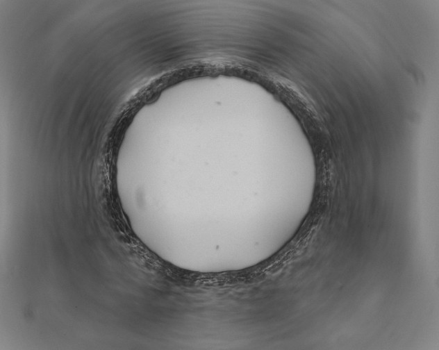 X0000112030776200908311214