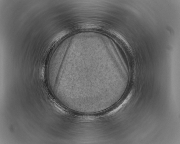 X0000112030777200908311214