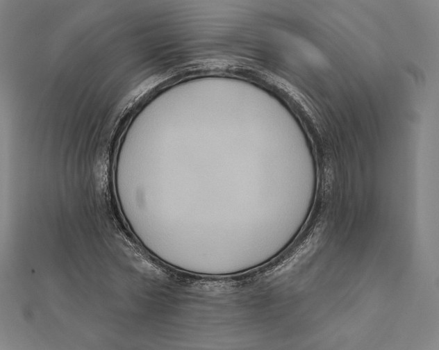 X0000112030778200908311214