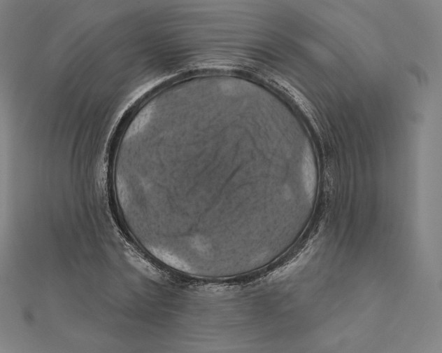 X0000112030779200908311214