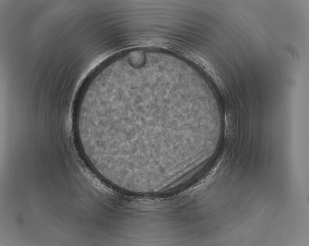 X0000112030780200908311214