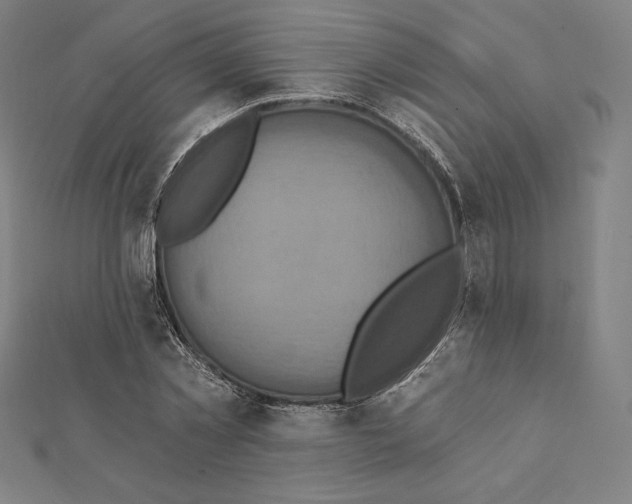 X0000112030781200908311214