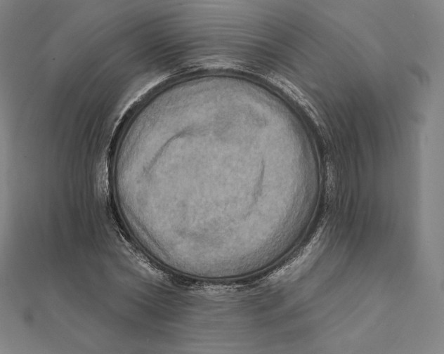 X0000112030782200908311214