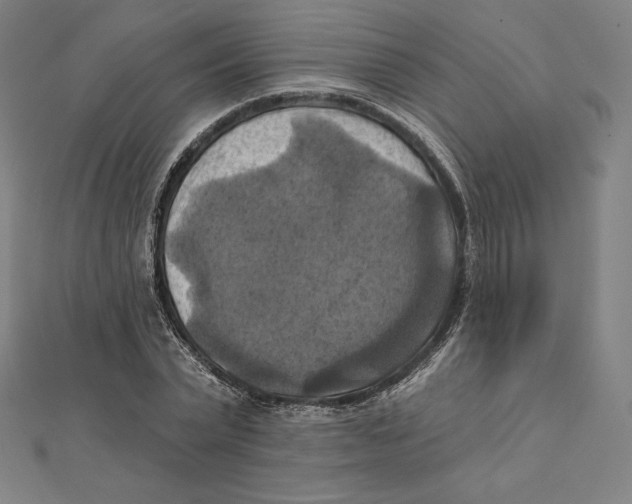 X0000112030783200908311214