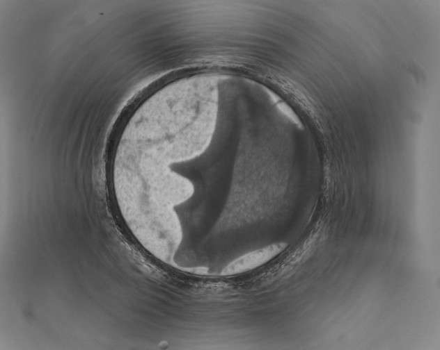 X0000112030784200908311214