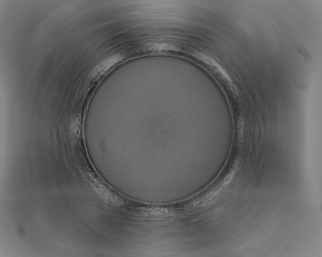 X0000112030785200908311214