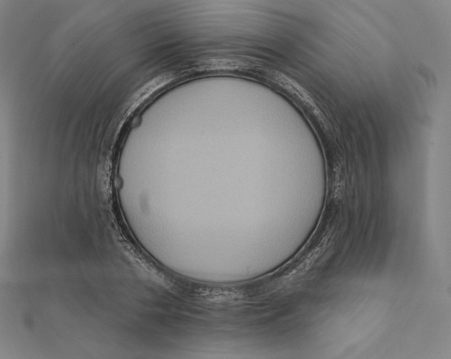 X0000112030786200908311214