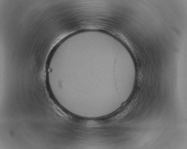 X0000112030787200908311214