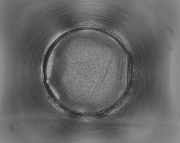 X0000112030788200908311214