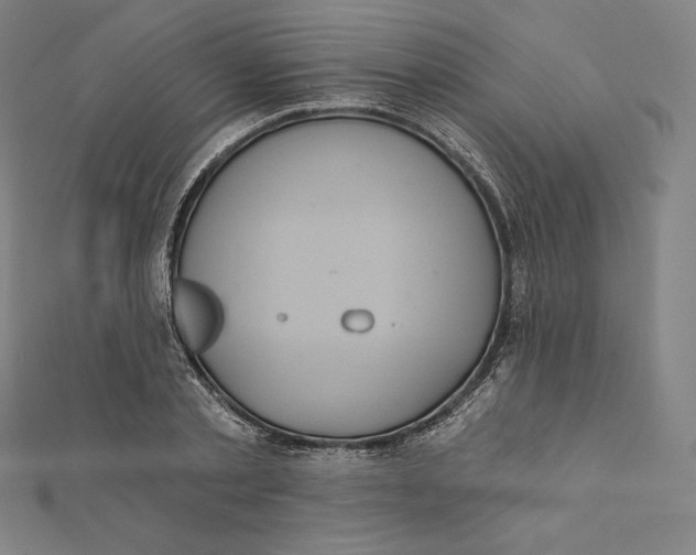 X0000112030789200908311214