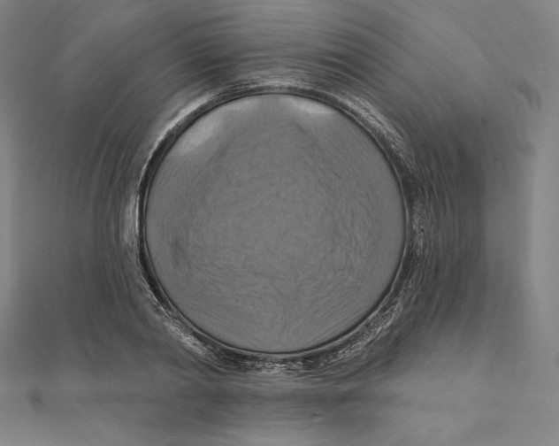 X0000112030790200908311214