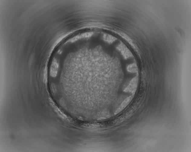 X0000112030791200908311214