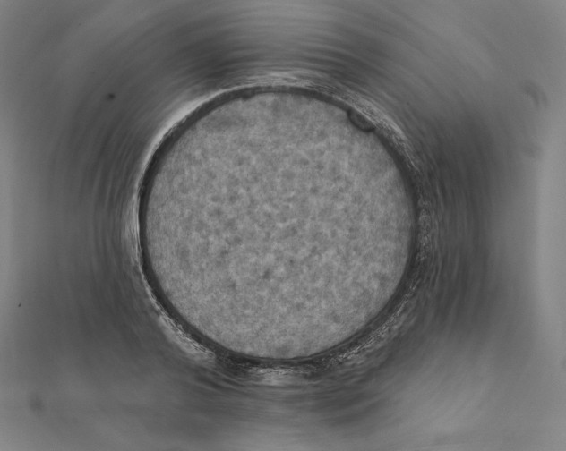 X0000112030792200908311214