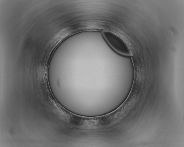 X0000112030793200908311214