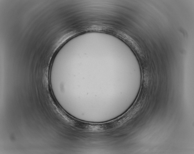 X0000112030794200908311214