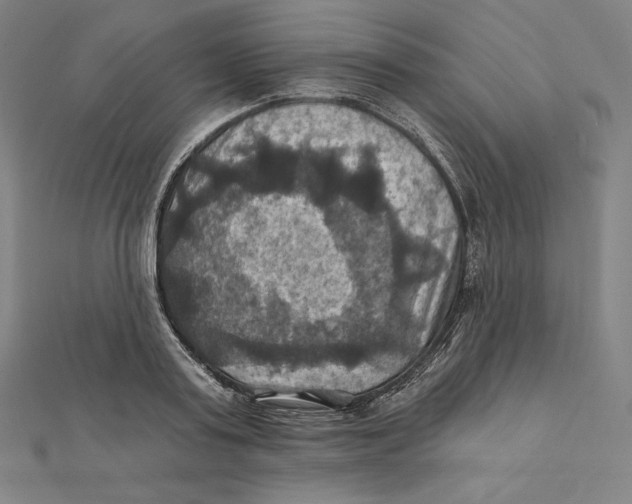 X0000112030795200908311214