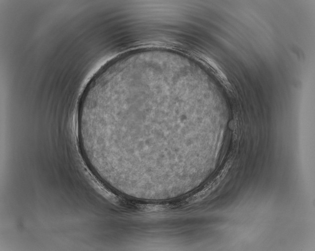 X0000112030796200908311214