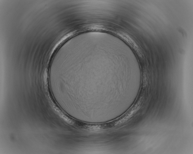 X0000112030798200908311214