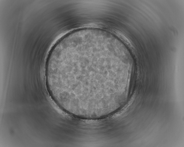 X0000112030800200908311214