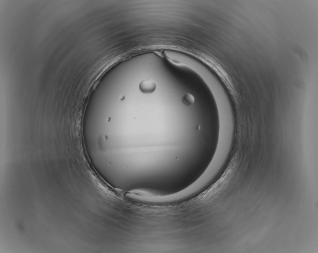 X0000112030801200908311214