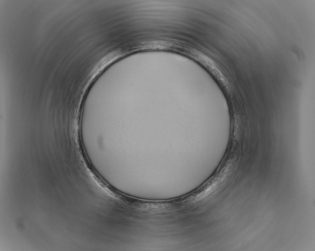 X0000112030802200908311214