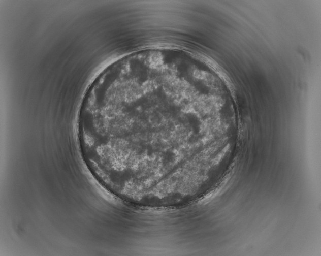 X0000112030803200908311214