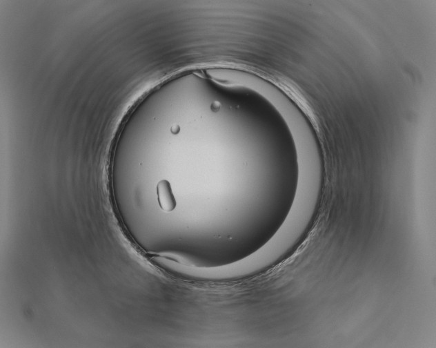 X0000112030805200908311214
