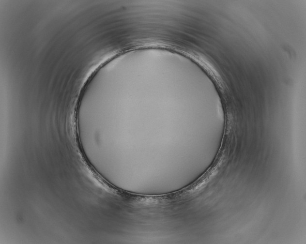 X0000112030806200908311214