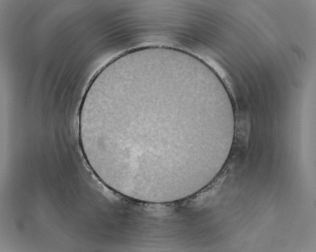 X0000112030807200908311214