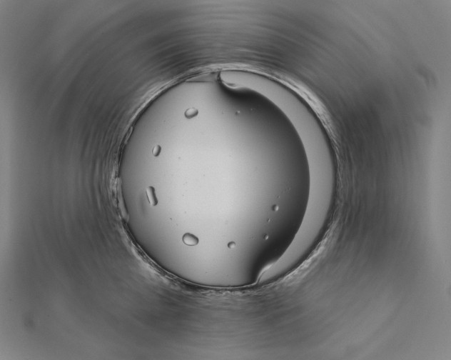 X0000112030809200908311214