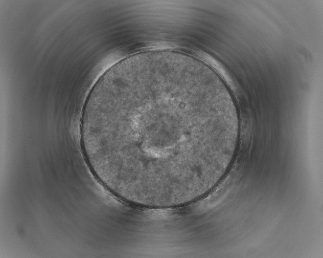 X0000112030810200908311214