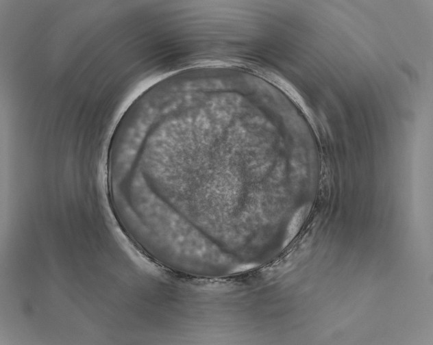 X0000112030811200908311214