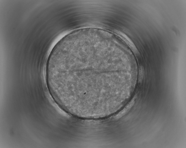 X0000112030812200908311214
