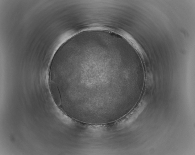 X0000112030813200908311214