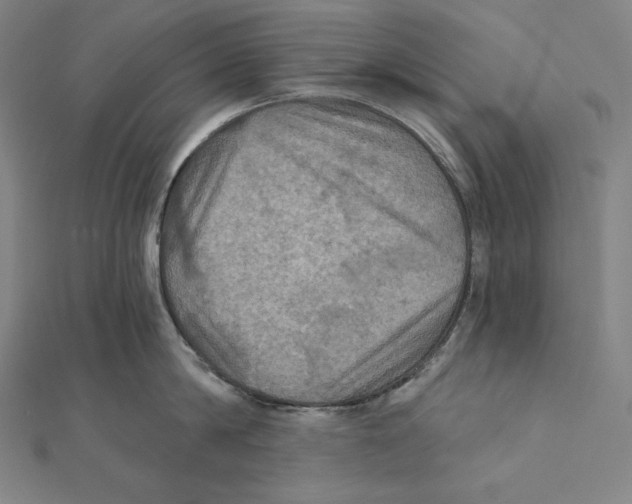 X0000112030814200908311214