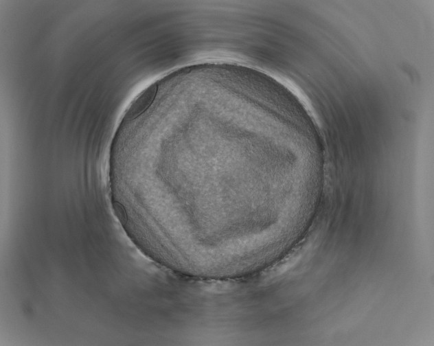 X0000112030815200908311214