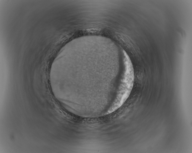 X0000112030817200908311213