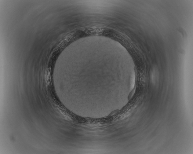 X0000112030818200908311213