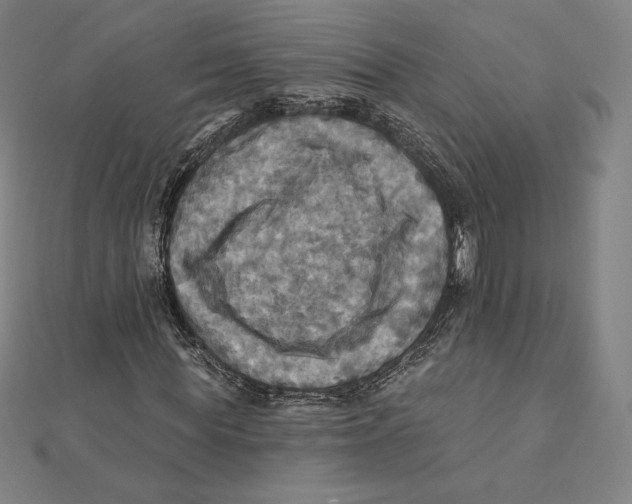 X0000112030819200908311213