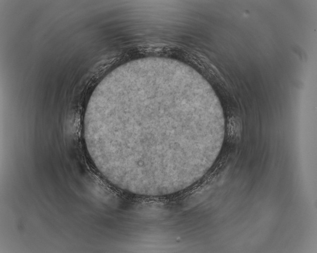 X0000112030820200908311213
