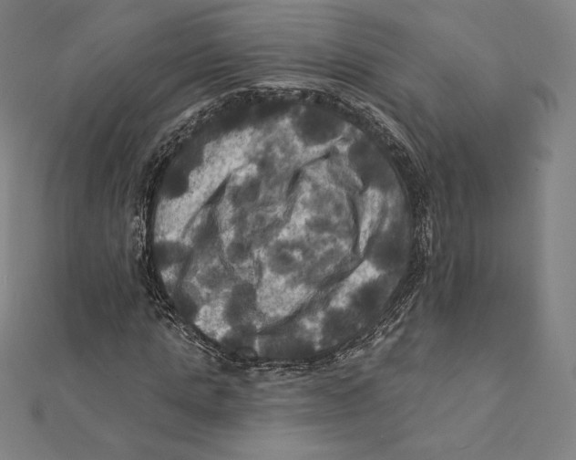 X0000112030821200908311213