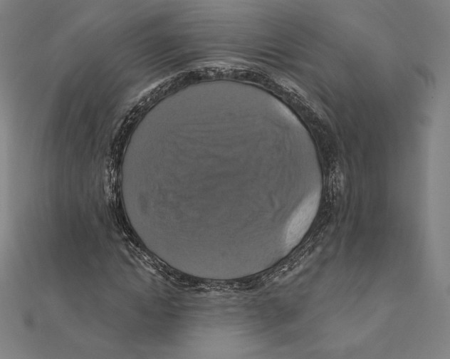 X0000112030822200908311213