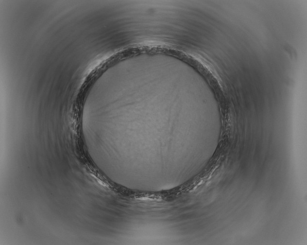 X0000112030823200908311213