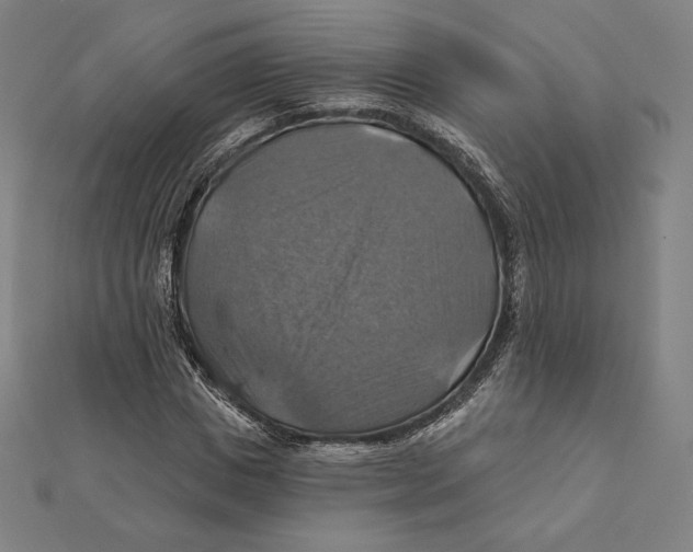 X0000112030825200908311213