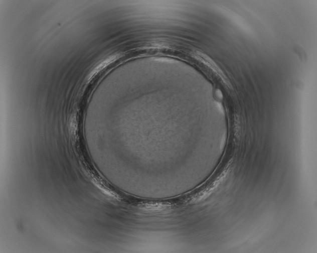 X0000112030826200908311213