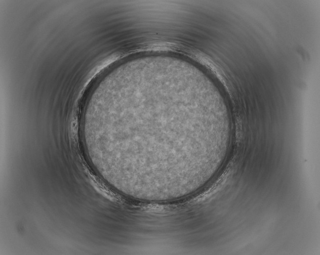 X0000112030827200908311213